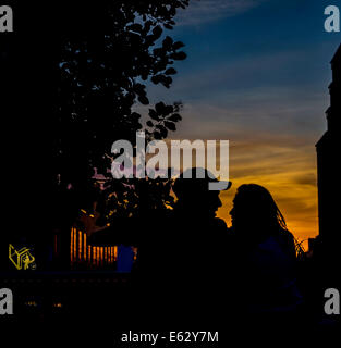 Manhattan, New York. Un jeune aimant regarder le coucher de soleil depuis le parc high line, une friche ferroviaire surélevée transformé en parc. Banque D'Images