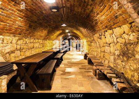 Valtice underground est un labyrinthe de caves historiques. La longueur totale est de 800 mètres. Le propriétaire est Chateau Lednice Winery. Valtice, République tchèque, le 28 octobre 2013. (CTK Photo/ Jiri Castka) Banque D'Images