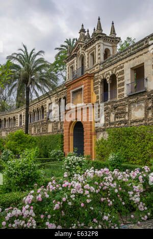 Jardins de l'Alcázar, Palais de l'Alcázar, Séville, Andalousie, Espagne Banque D'Images
