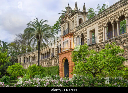 Jardins de l'Alcázar, Palais de l'Alcázar, Séville, Andalousie, Espagne Banque D'Images
