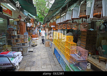 Les oiseaux, les cages et les accessoires sur le marché aux oiseaux, Kowloon, Hong Kong, Chine Banque D'Images