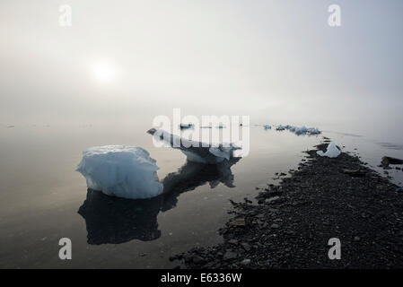 Les icebergs échoués et brouillard à Pakenham Point, Prince William Sound, Alaska Banque D'Images