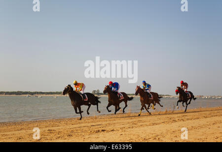 Course de chevaux sur la plage de Sanlúcar de Barrameda, à l'embouchure de la rivière Guadalquivir, Cadiz Province, Andalusia, Spain Banque D'Images