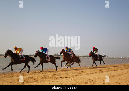 Course de chevaux sur la plage de Sanlúcar de Barrameda, à l'embouchure de la rivière Guadalquivir, Cadiz Province, Andalusia, Spain Banque D'Images