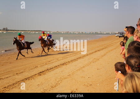 Course de chevaux sur la plage de Sanlúcar de Barrameda, à l'embouchure de la rivière Guadalquivir, Cadiz Province, Andalusia, Spain Banque D'Images