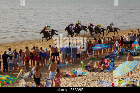 Course de chevaux sur la plage de Sanlúcar de Barrameda, à l'embouchure de la rivière Guadalquivir, Cadiz Province, Andalusia, Spain Banque D'Images