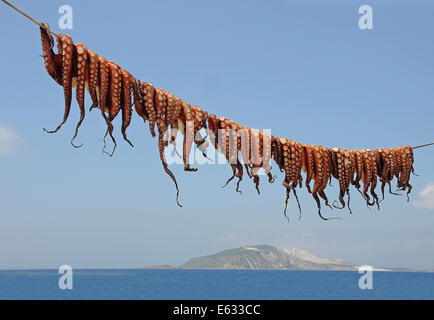 Les pieuvres accroché à sécher sur un fil a linge, Mandraki, Kos, Grèce Banque D'Images