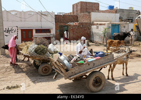 La vente de marchandises de l'opérateur de voyage son âne dans le village de Khushpur christian dominé, Pujab Province, au Pakistan Banque D'Images