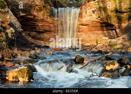 Cascade et rivière dans la forêt Banque D'Images