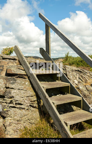 Monter les escaliers sur la côte rocheuse de l'île de Stora Dyrön, Îles Tjörn Municipalité, Bohuslan, Sweden Banque D'Images