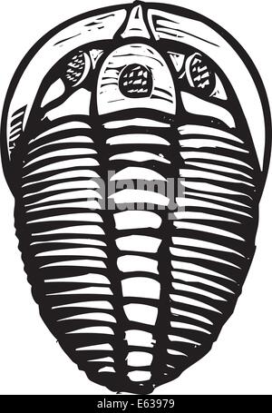 Image style gravure sur bois d'un trilobite fossile Illustration de Vecteur