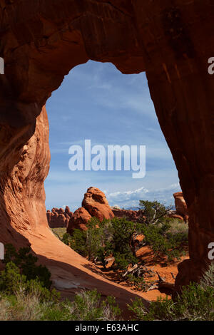 Pine Tree Arch, Devil's Garden salon de Arches National Park, près de Moab, Utah, USA Banque D'Images