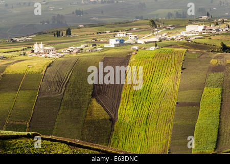 Une perspective aérienne de collines vallonnées couvertes de champs agricoles en terrasses, montrant différents stades de croissance des cultures avec des parcelles de sol vert, jaune et sombre labouré. Un petit village avec blanc Banque D'Images