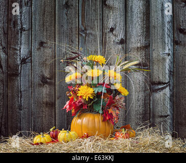 Arrangement de fleurs de citrouille afficher sur le foin à l'arrière-plan en bois rustique Banque D'Images