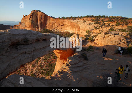 Début de lumière sur Mesa Arch, Canyonlands National Park, Utah, USA Banque D'Images