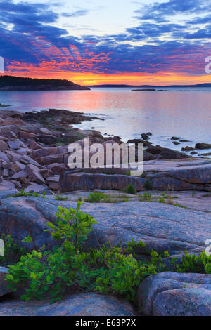 Lever du soleil près de Thunder Hole, le sentier de l'océan, l'Acadia National Park, Maine, USA Banque D'Images