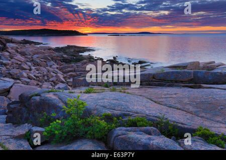 Lever du soleil près de Thunder Hole, le sentier de l'océan, l'Acadia National Park, Maine, USA Banque D'Images