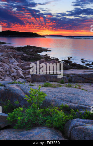 Lever du soleil près de Thunder Hole, le sentier de l'océan, l'Acadia National Park, Maine, USA Banque D'Images