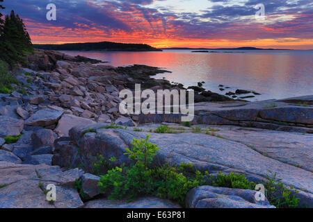 Lever du soleil près de Thunder Hole, le sentier de l'océan, l'Acadia National Park, Maine, USA Banque D'Images