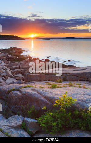 Lever du soleil près de Thunder Hole, le sentier de l'océan, l'Acadia National Park, Maine, USA Banque D'Images