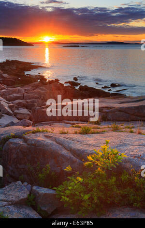 Lever du soleil près de Thunder Hole, le sentier de l'océan, l'Acadia National Park, Maine, USA Banque D'Images