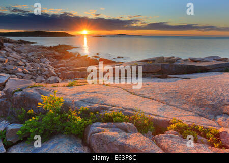 Lever du soleil près de Thunder Hole, le sentier de l'océan, l'Acadia National Park, Maine, USA Banque D'Images