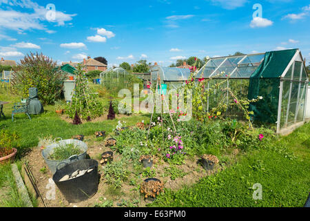 Jardins d'attribution à Walsham Le saule, Suffolk, UK Banque D'Images