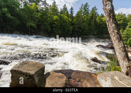 Les rapides de l'Buttermillk Falls sur la rivière Raquette dans les Adirondacks Mountain de New York Banque D'Images