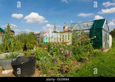 Jardins d'attribution à Walsham Le saule, Suffolk, UK Banque D'Images
