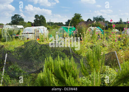 Jardins d'attribution à Walsham Le saule, Suffolk, UK Banque D'Images