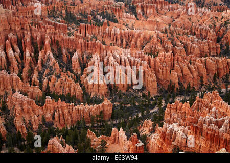 Les cheminées à Bryce Amphitheater, vu de Bryce Point, Bryce Canyon National Park, Utah, USA Banque D'Images