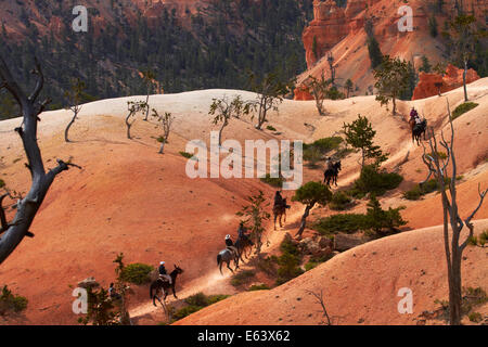 Les randonneurs à cheval près de Queen's Garden Trail à travers les cheminées de fée, Bryce Canyon National Park, Utah, USA Banque D'Images