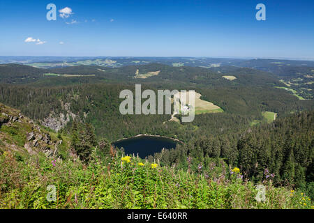 Vue du lac Feldsee vu à partir de la montagne Feldberg, Forêt-Noire, Bade-Wurtemberg, Allemagne Banque D'Images