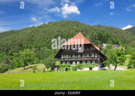 Maison traditionnelle dans la vallée de Gutachtal, Forêt-Noire, Bade-Wurtemberg, Allemagne Banque D'Images