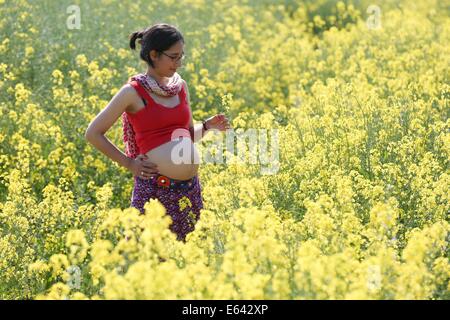 Saint Peter Ording (Allemagne). 20 mai, 2014. ILLUSTRATION - une femme dans le neuvième mois de grossesse se trouve dans un champ de fleurs à Saint Peter Ording, Allemagne, 20 mai 2014. Photo : Marques Bodo - MODÈLE LIBÉRÉ/dpa/Alamy Live News Banque D'Images