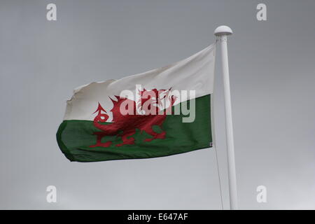 Le Welsh drapeau flotte au-dessus de l'ouest du pays de Galles Aberystwyth uk Banque D'Images