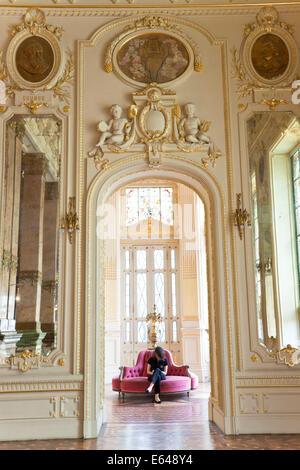 Théâtre municipal (Theatro Municipal), Rio de Janeiro, Brésil Banque D'Images