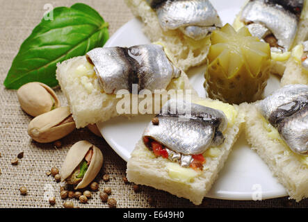 Des sandwichs avec le sprat sur une plaque blanche Banque D'Images