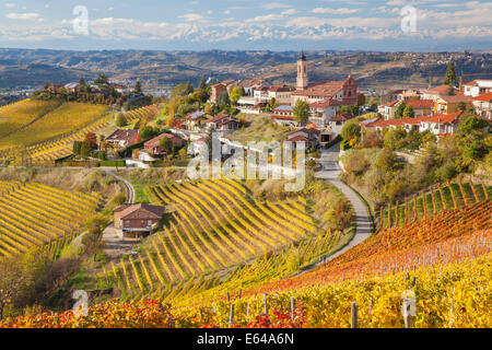 Vignes, Treiso, nr Alba, Langhe, Piémont (ou Piemonte ou Piedmonte), Italie Banque D'Images