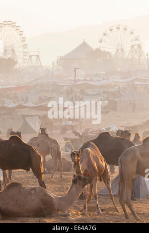 Femme indienne, Pushkar camel fair, Pushkar, Rajasthan, India Banque D'Images