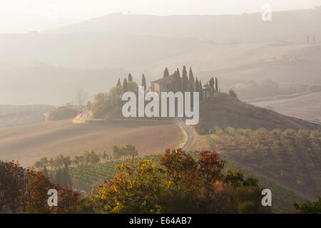 Tôt le matin, la Val d'Orcia, Toscane, Italie Banque D'Images