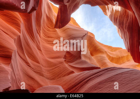 Vue depuis le bas de la Lower Antelope Canyon en regardant vers le haut. Lower Antelope Canyon, Page, Arizona, USA. Banque D'Images