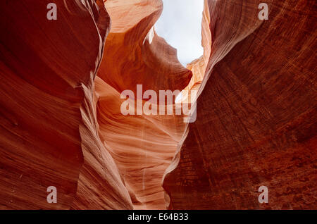 Lower Antelope Canyon. Page, Arizona, USA. Banque D'Images