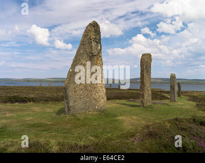 dh ANNEAU DE BRODGAR ORKNEY ISLES Pierre debout néolithique cercle écosse Banque D'Images