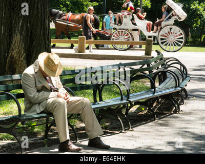 Bien habillé Man in Suit endormi sur banc de parc, Central Park, NYC Banque D'Images