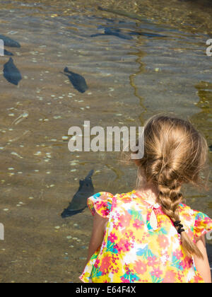 Parc national de Giant Springs, station piscicole, aquaculture, Great Falls, Montana, États-Unis Banque D'Images