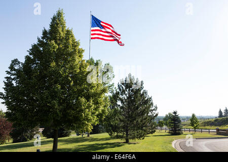 Drapeau des États-Unis de vagues dans le vent, USA Banque D'Images