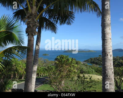 Avis de One Tree Hill, Hamilton Island, Grande Barrière de Corail, Australie Banque D'Images