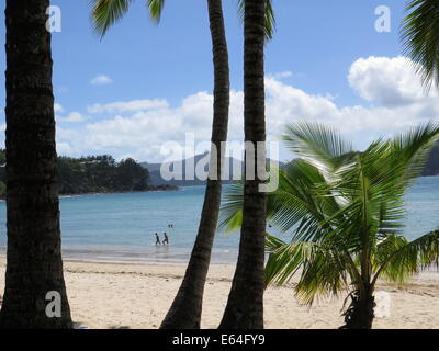 Catseye Beach sur l'île d'Hamilton dans les Whitsunday Islands, de l'Australie. Banque D'Images