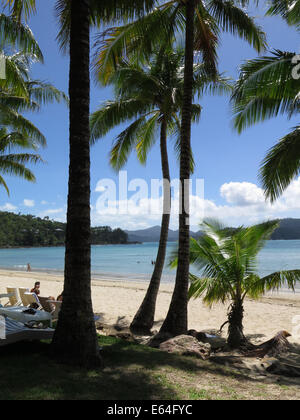 Catseye Beach sur l'île d'Hamilton dans les Whitsunday Islands, de l'Australie. Banque D'Images